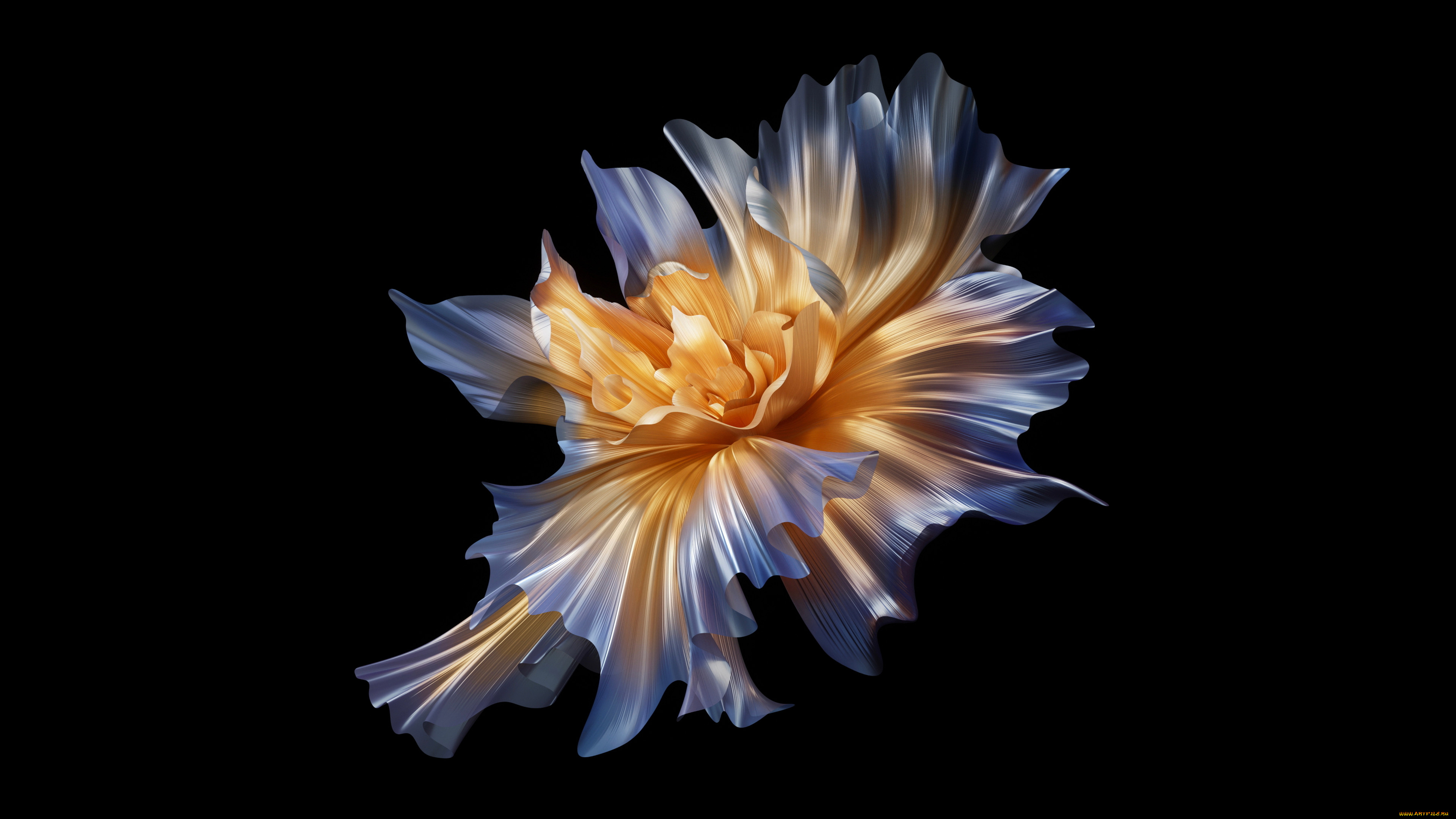 3 ,  , flowers, 